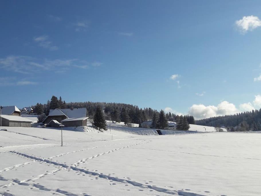Haus Lucia, Mit Pool Und Sauna, Appartment 4 Schönwalde エクステリア 写真